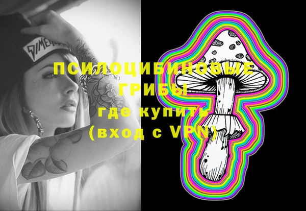 прущий лед Вяземский